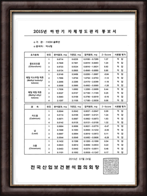 2015 Ϲݱ ü 뺸